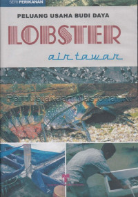 Image of Peluang Usaha Budidaya Lobster Air Tawar