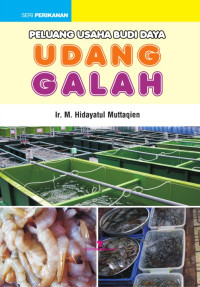 Image of Peluang Usaha Budidaya Udang Galah